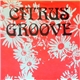 Citrus Groove - Hit The Ground