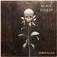 Black Paisley - Perennials