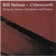 Bill Nelson - Crimsworth: Flowers, Stones, Fountains And Flames